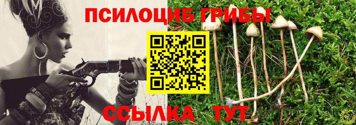 Гулькевичи  Галлюциногенные грибы MAGIC MUSHROOMS  Вход с VPN  Псилоцибиновые грибы Psilocybine cubensis 