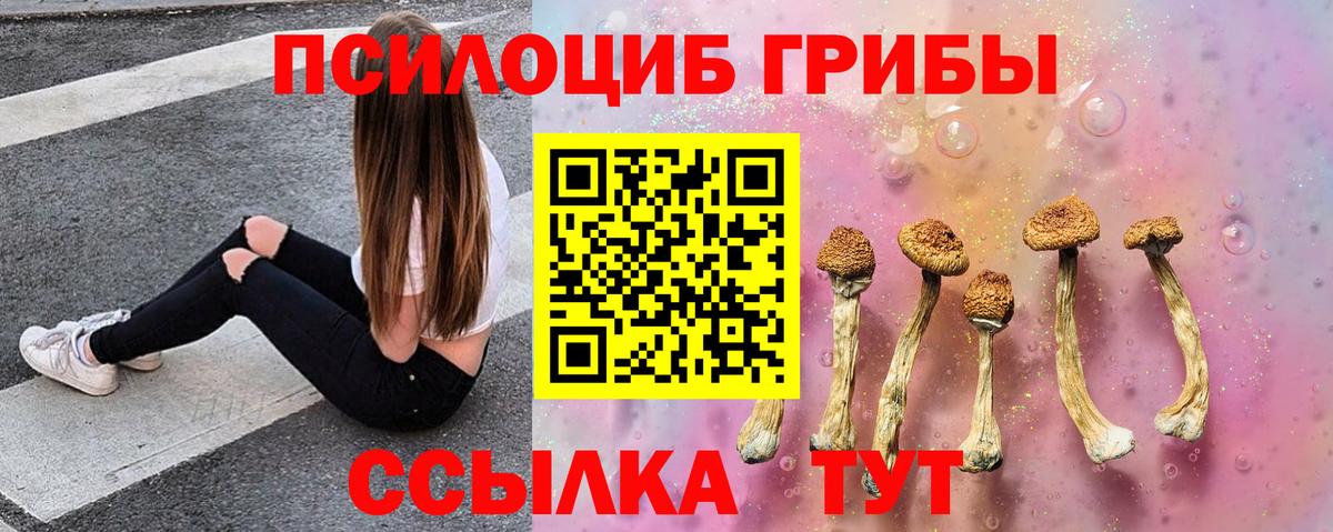 Псилоцибиновые грибы Psilocybine cubensis Гулькевичи