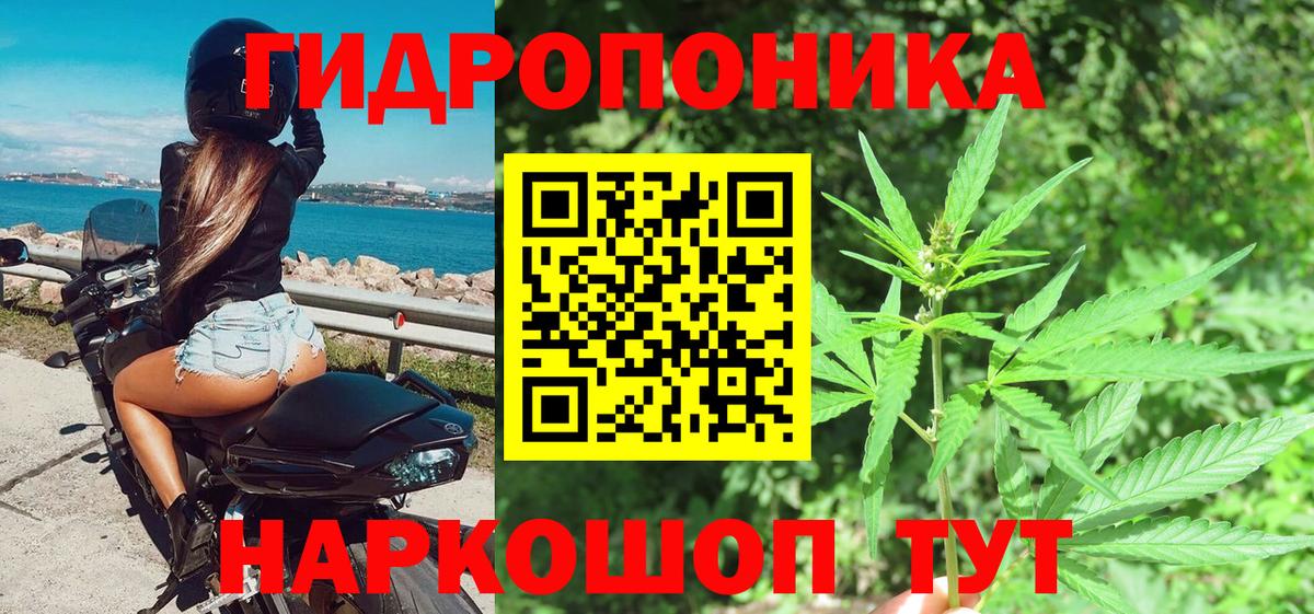 Бошки марихуана планчик Гулькевичи